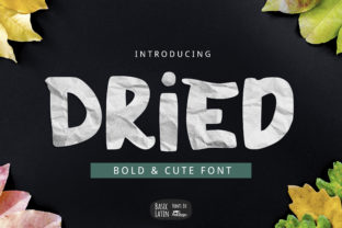 Discover Dried: A Bold and Playful Display Font