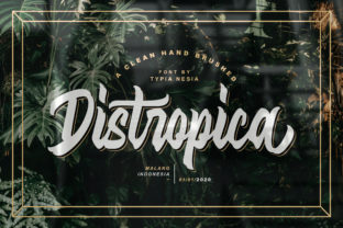 Distropica: A Modern and Enchanting Font for Creative Branding