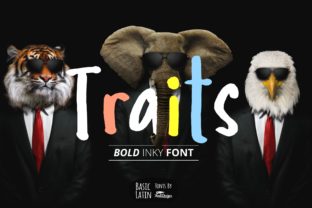 Enhance Your Brand with Traits: A Unique Display Font
